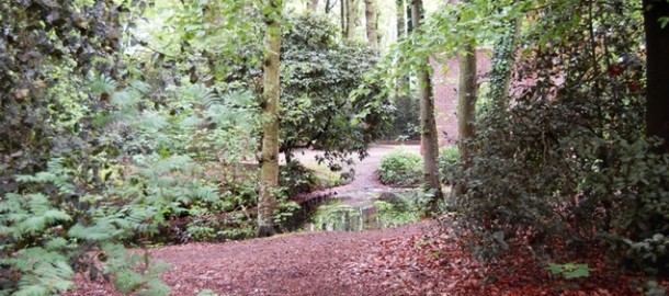 Bos van Wijckerslooth